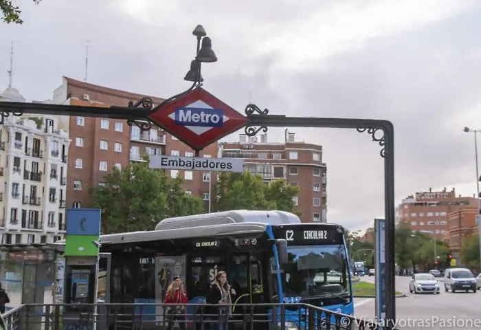 Solfai Vacacional 32